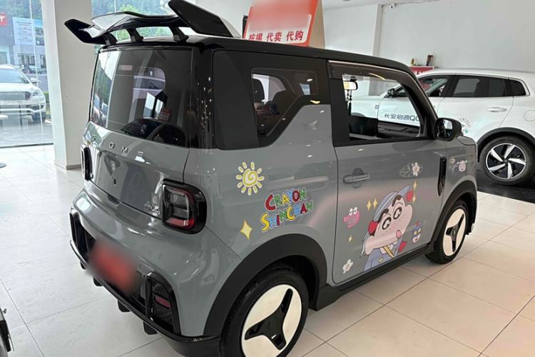 Used  Panda 2024 200km Panda Kart
