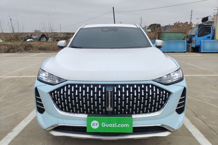 Used Wey Mocha 2021 2.0T Two-Wheel-Drive Ultra-Strong Version
