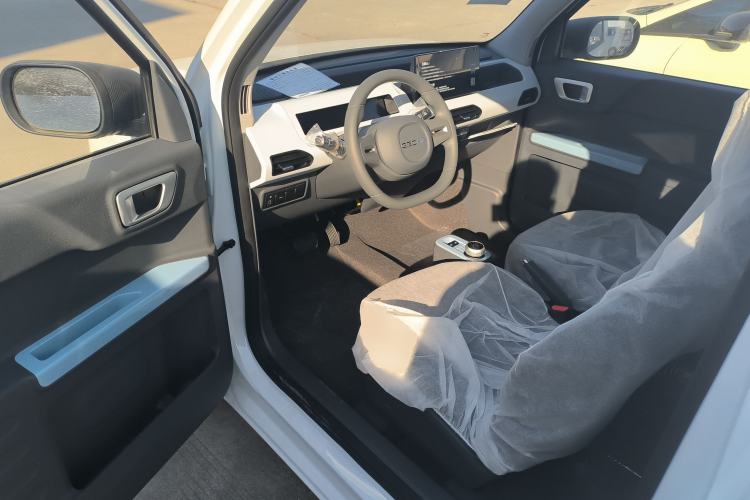 Used  Panda 2024 Panda Mini 200km Endurance Bear