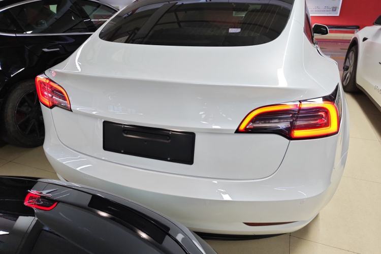 Used Tesla Model 3 (Import) 2019 Long-Range Rear-Wheel-Drive Version