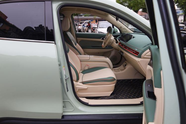 Used ORA Good Cat 2023 401 km Standard Range Luxury Version Lithium Iron Phosphate
