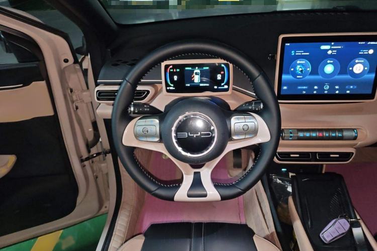 Used BYD Seagull 2023 Flying Edition
