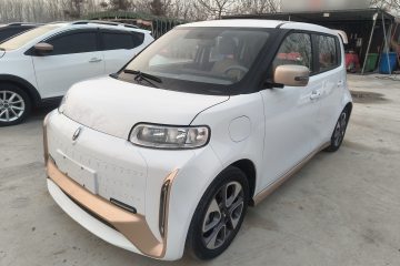 Used ORA White Cat 2022 Xiaoyue Mao Edition 360 km Luxury Model Lithium NMC