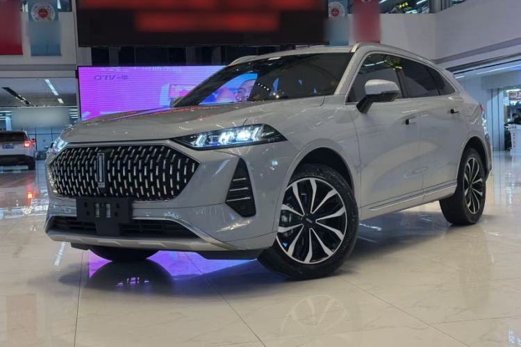 Used Wey Mocha 2021 2.0T Two-Wheel-Drive Ultra-Strong Version