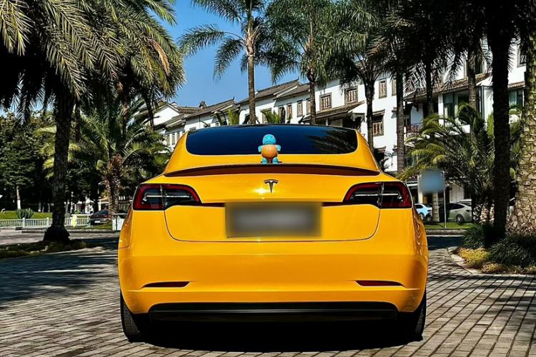 Used Tesla Model 3 2021 Revised Version Standard Range Rear-Wheel Drive Upgraded Edition 3D1