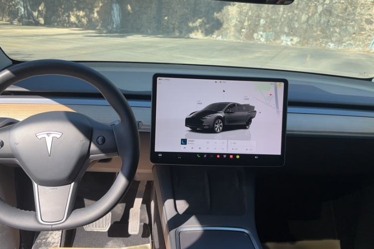 Used Tesla Model Y 2022 Long-Range All-Wheel-Drive Version
