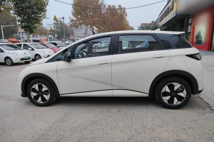 Used BYD Dolphin 2025 420km Free Edition