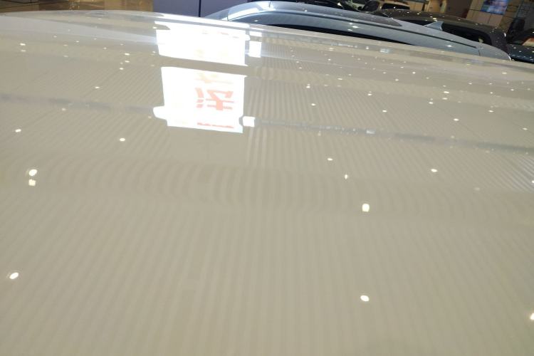 Used  Panda 2024 Panda Mini 200km Endurance Bear
