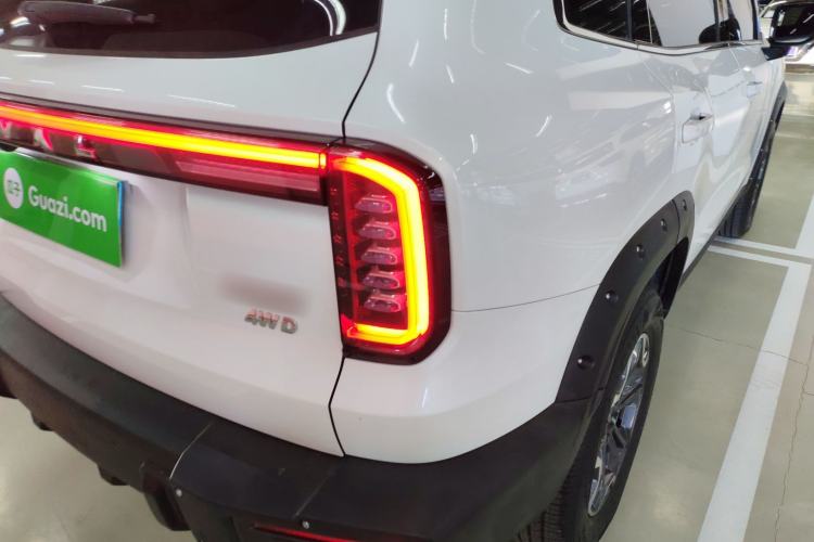 Used Haval DARGO 2024 2.0T DCT Chinese Rural Dog Edition
