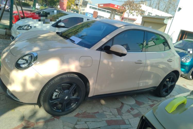 Used ORA Good Cat 2024 401 km Luxury Version
