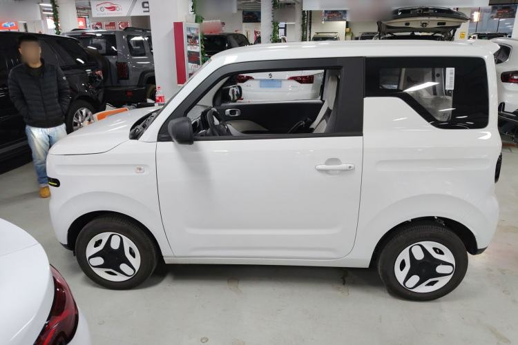 Used  Panda 2025 210 km – Yuanqi Bear
