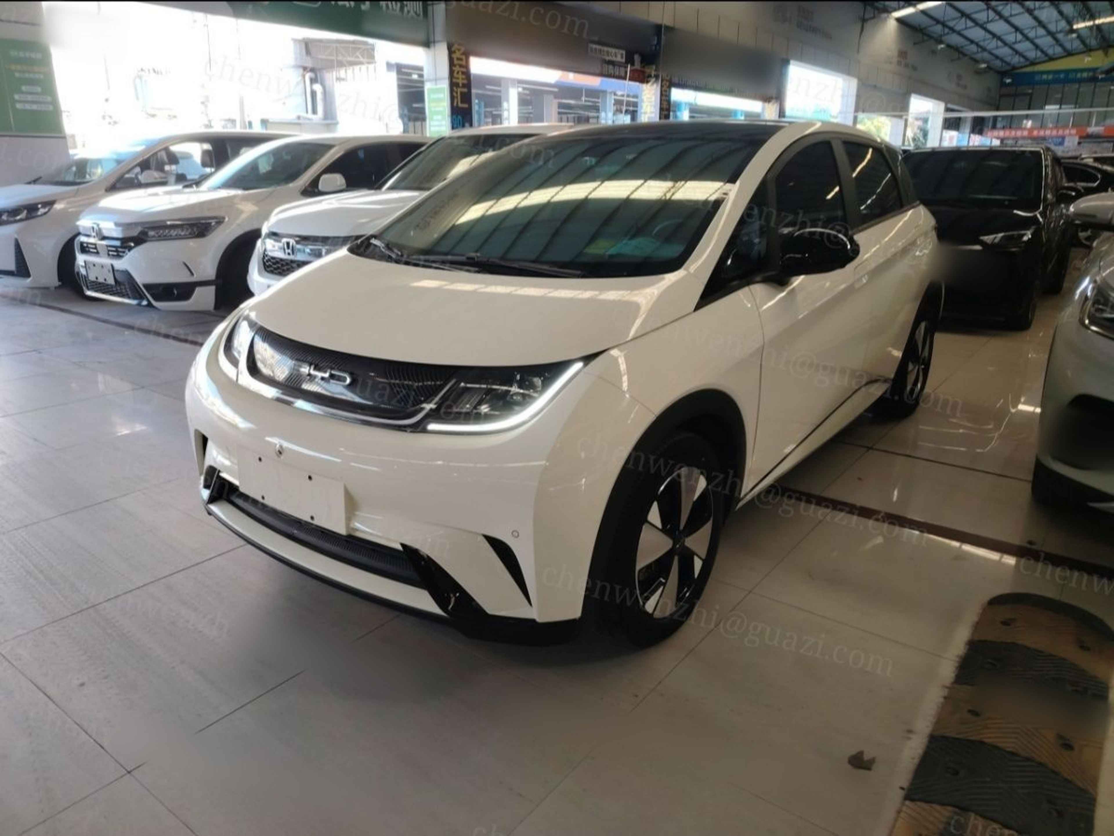 تحت مقدمة السيارة