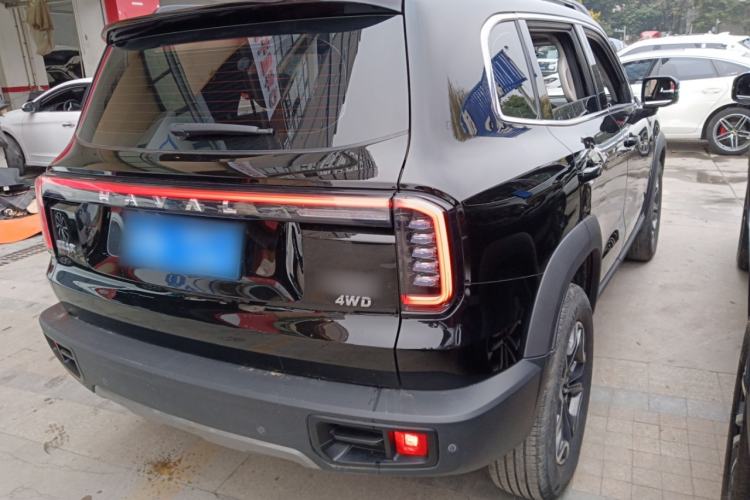 Used Haval DARGO 2024 2.0T DCT Chinese Rural Dog Edition
