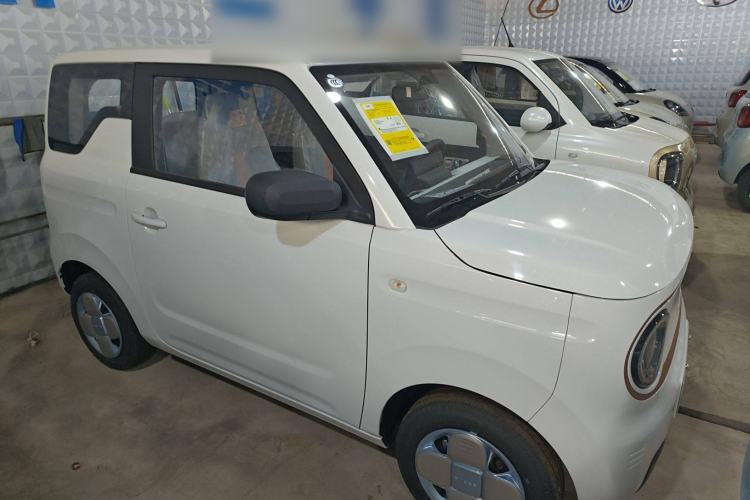 Used  Panda 2024 Panda Mini 200km Endurance Bear
