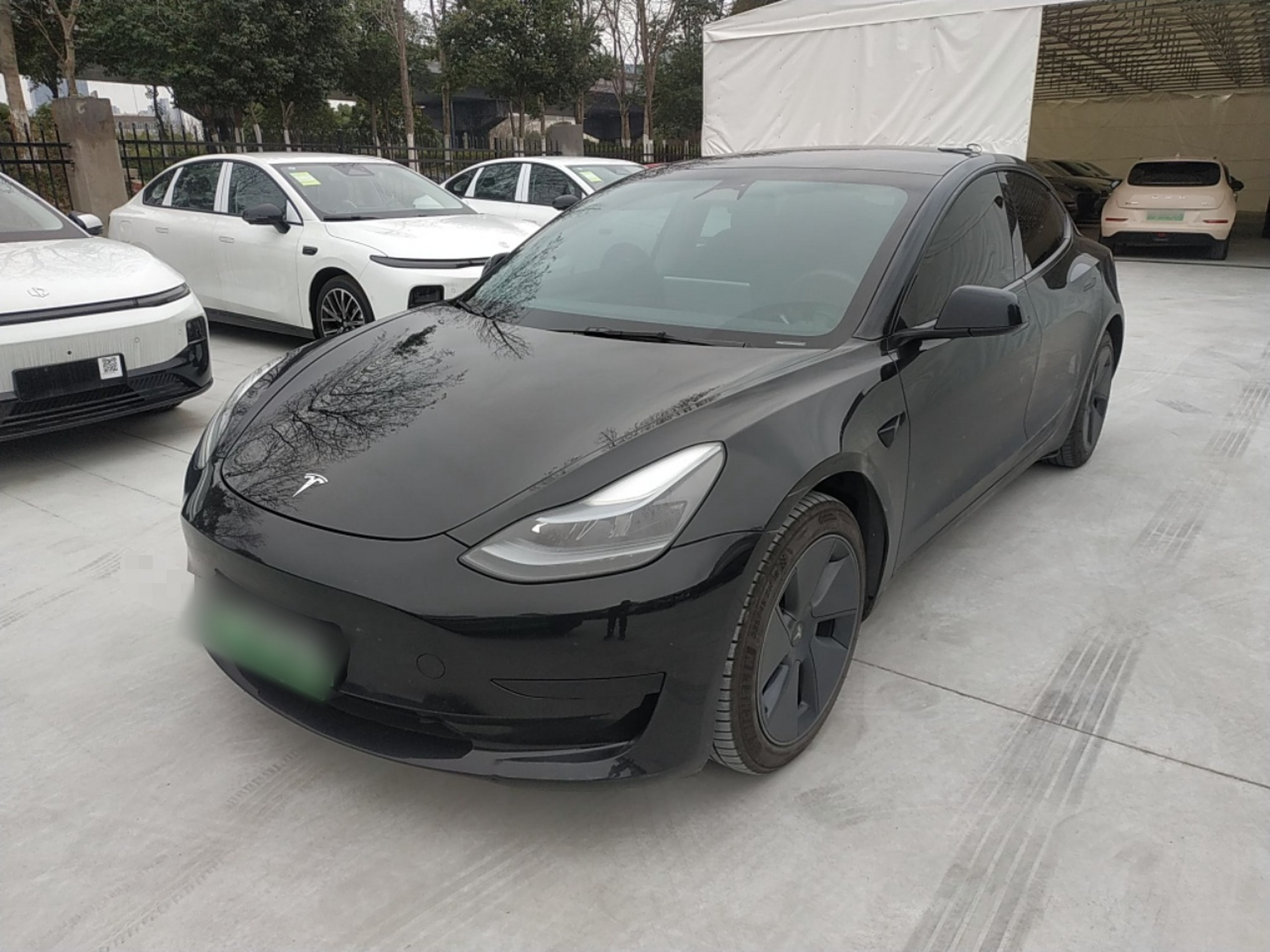 تحت مقدمة السيارة