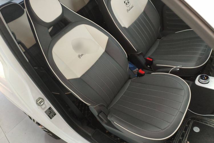 Used  Panda 2023 Panda Mini 200km Endurance Bear
