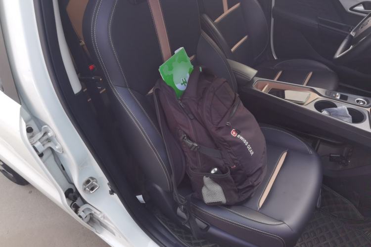 Used SOL E10X 2022 Flower Fairy Design Four-Leaf Clover
