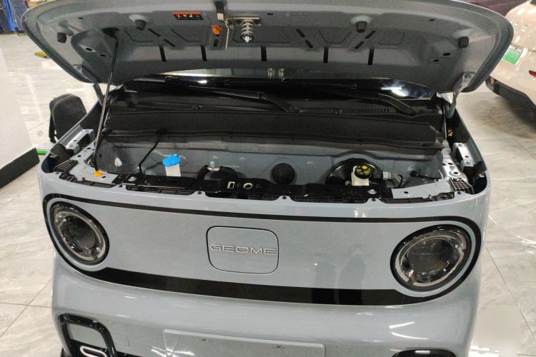 Used  Panda 2024 200km Panda Kart
