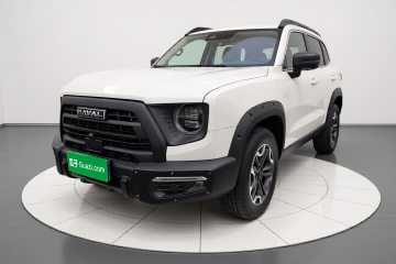 Used Haval DARGO 2024 2.0T DCT Chinese Rural Dog Edition