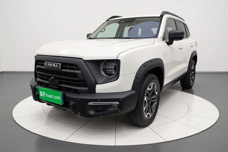 Used Haval DARGO 2024 2.0T DCT Chinese Rural Dog Edition