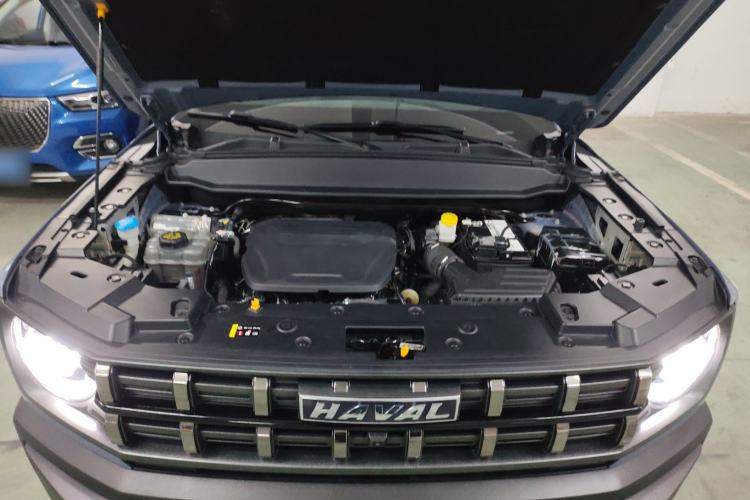 Used Haval X DOG 2022 1.5T DCT Two-Wheel Drive Trendy Edition
