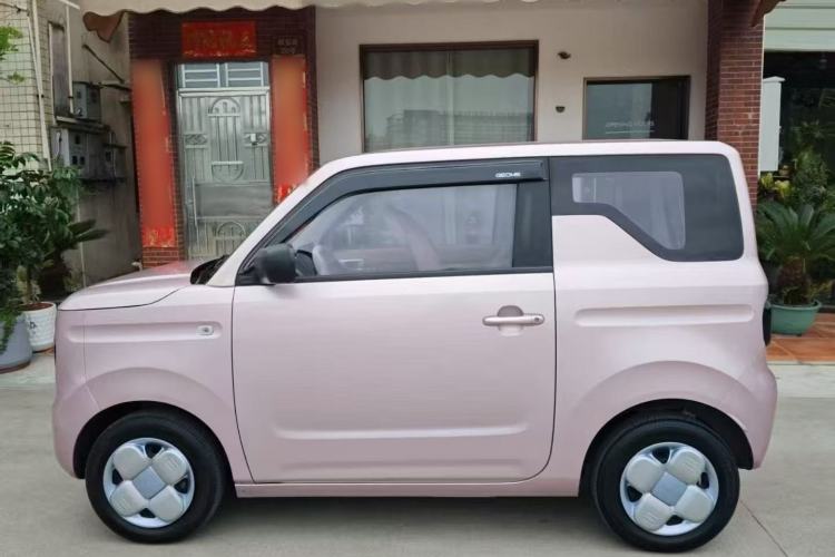 Used  Panda 2023 Panda Mini 200km Endurance Bear
