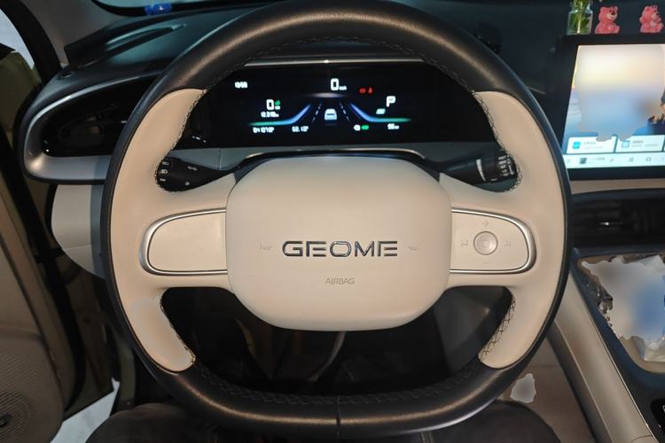 Used Geely Galaxy Geome 2025 310km Youth Edition