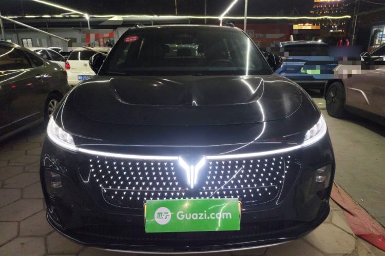 Used VOYAH COURAGE 2024 Four-Wheel Drive Global Edition
