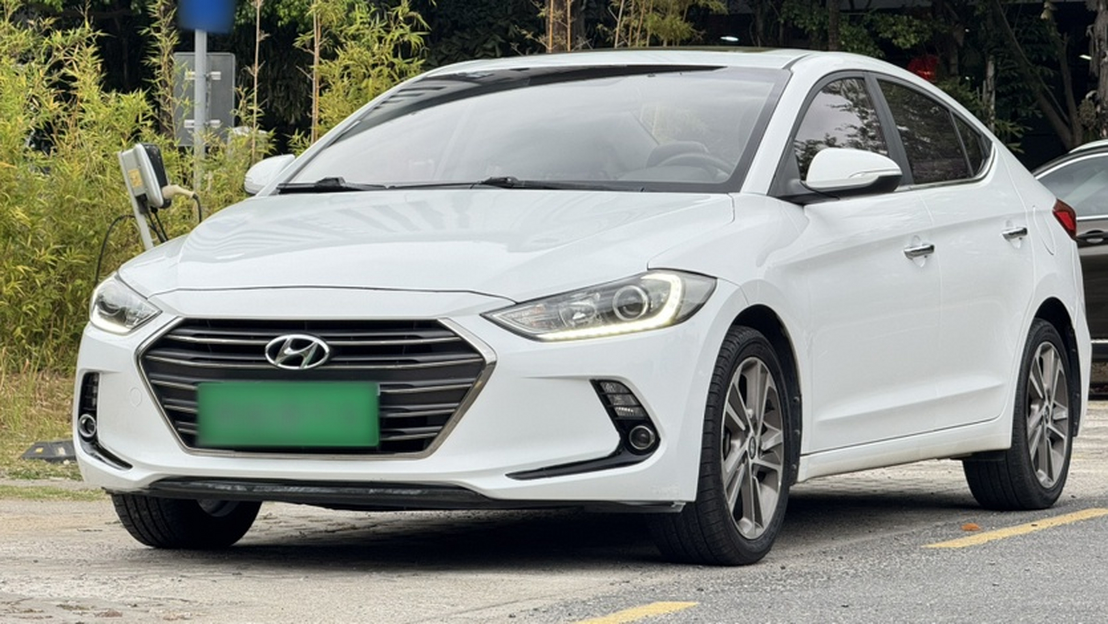 تحت مقدمة السيارة