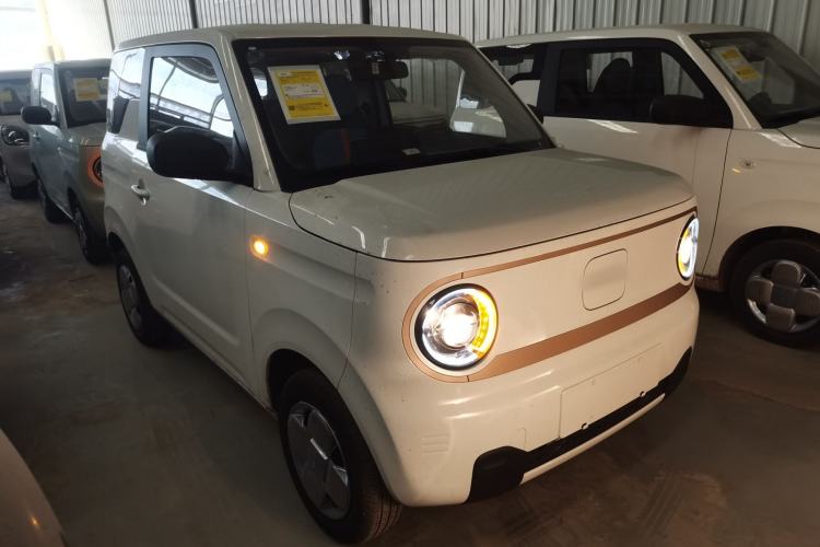 Used  Panda 2024 Panda Mini 200km Endurance Bear
