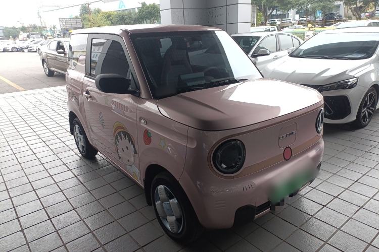 Used  Panda 2024 Panda Mini 200km Endurance Bear
