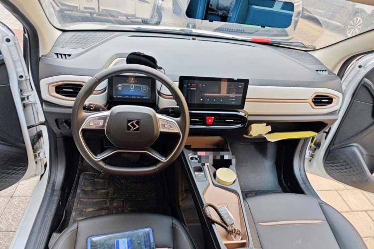 Used SOL E10X 2022 Flower Fairy Design Four-Leaf Clover