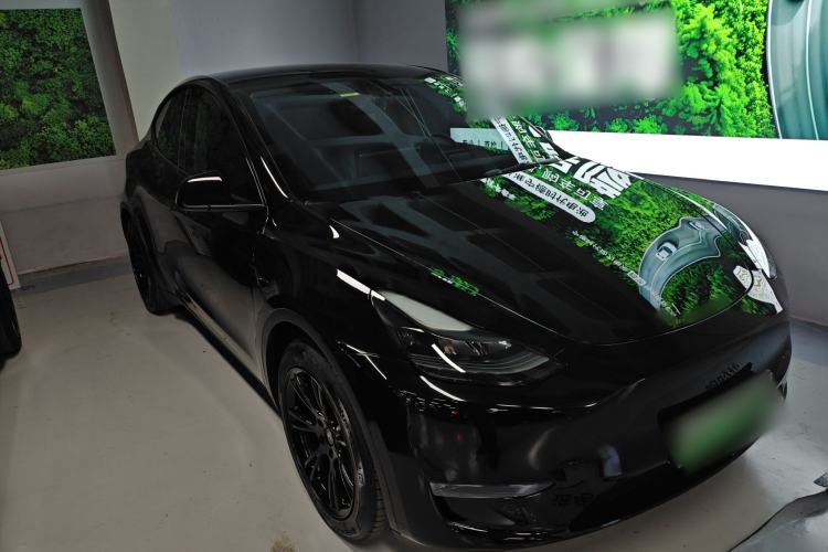 Used Tesla Model Y 2021 Standard Range Rear-Wheel Drive Version
