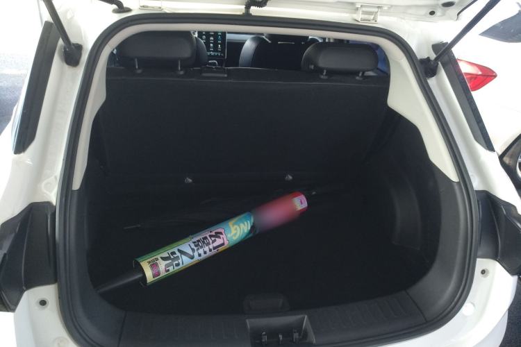 Used NETA V 2021 Long-Range Entertainment Edition Upgrade Model
