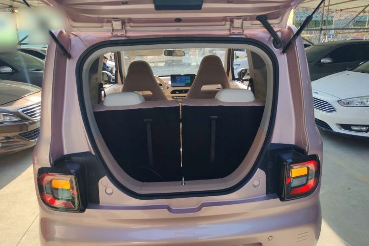 Used  Panda 2023 Panda Mini 200km Endurance Bear