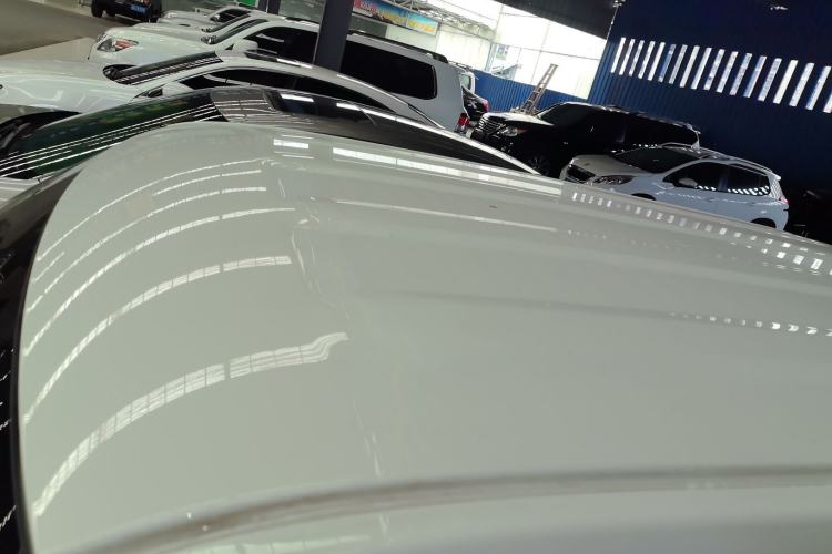 Used  Panda 2024 Panda Mini 200km Endurance Bear