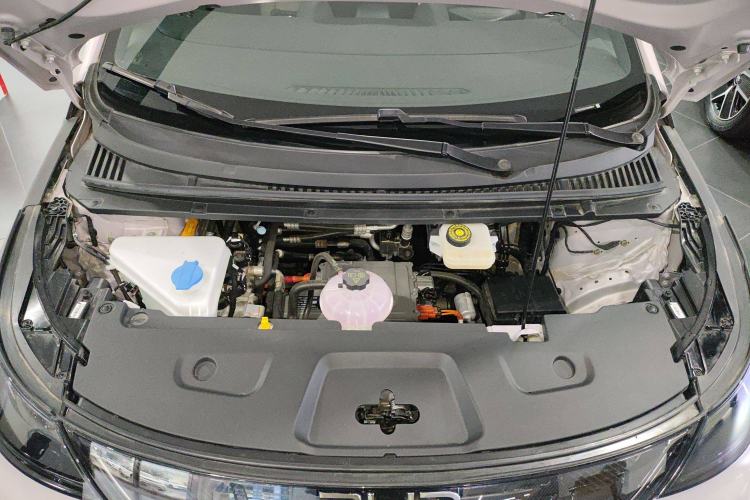 Used BYD Dolphin 2025 Intelligent Driving Version 520km Range Knight Edition
