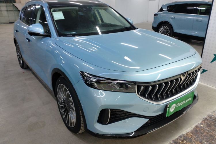 Used VOYAH FREE 2021 Two-Wheel Drive Standard Pure Electric City Edition
