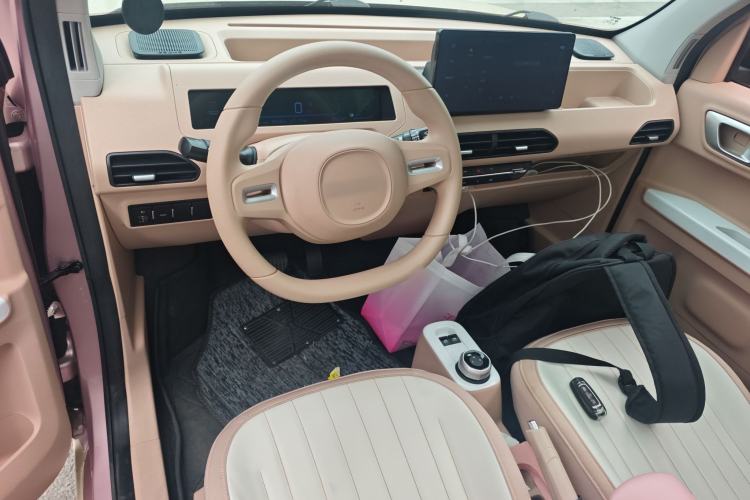 Used  Panda 2023 Panda Mini 200km Dynamic Bear
