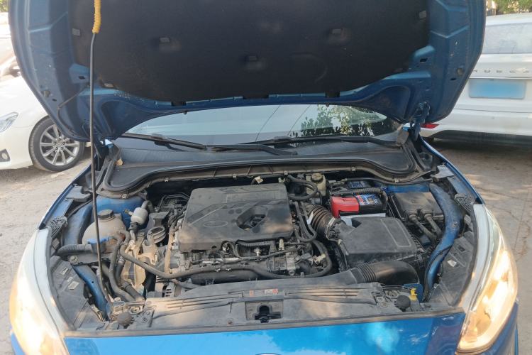 Used Ford Focus 2019 Hatchback EcoBoost 180 Automatic Trendy Model
