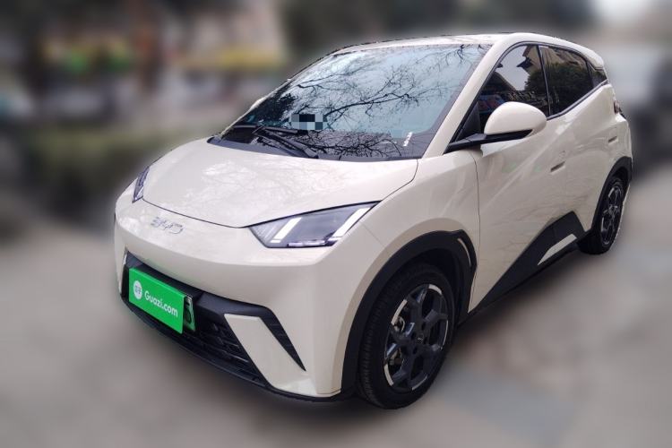 Used BYD Seagull 2025 305 km Free Version