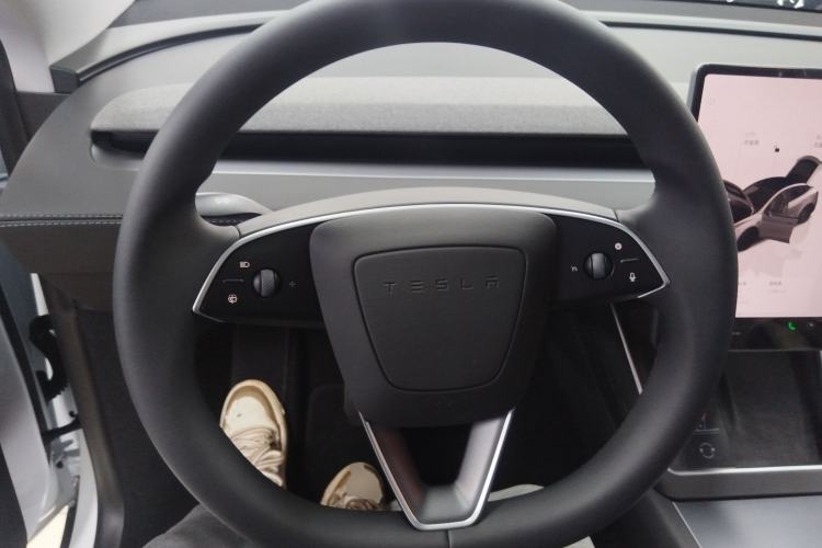 Used Tesla Model Y 2025 Updated Version Long-Range All-Wheel Drive
