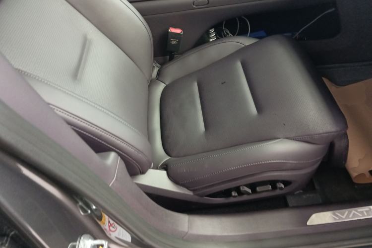 Used  06 2025 Ultra Pure Electric Edition
