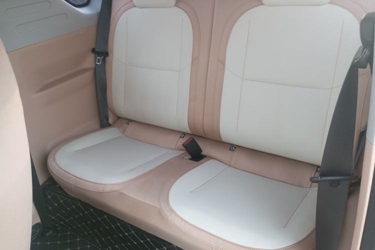 Used  Panda 2024 Panda Mini 200km Endurance Bear