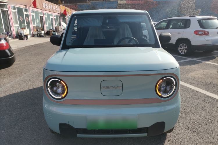 Used  Panda 2024 Panda Mini 200km Endurance Bear
