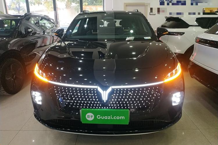 Used VOYAH COURAGE 2024 Four-Wheel Drive Global Edition
