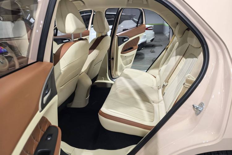 Used ORA Good Cat 2023 401 km Standard Range Luxury Version Lithium Iron Phosphate
