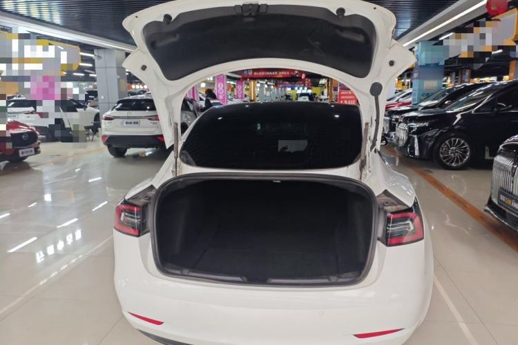 Used Tesla Model 3 (Import) 2019 Long-Range Rear-Wheel-Drive Version