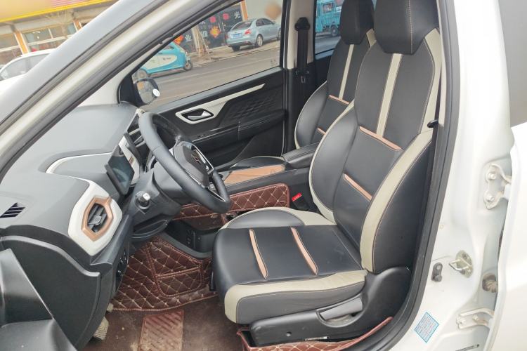 Used SOL E10X 2022 Flower Fairy Style Baby's Breath