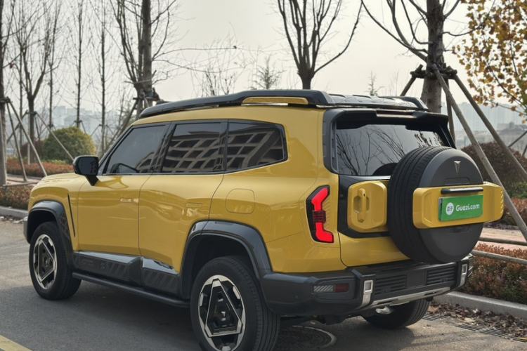 Used  G318 2025 Worry-Free Adventure Edition Four-Wheel Drive Secret Realm Version
